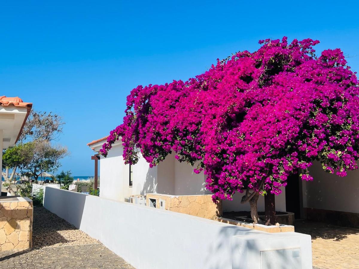 Villa With Privat Pool Near Beach Santa Maria Sal Kap Verde Exteriör bild