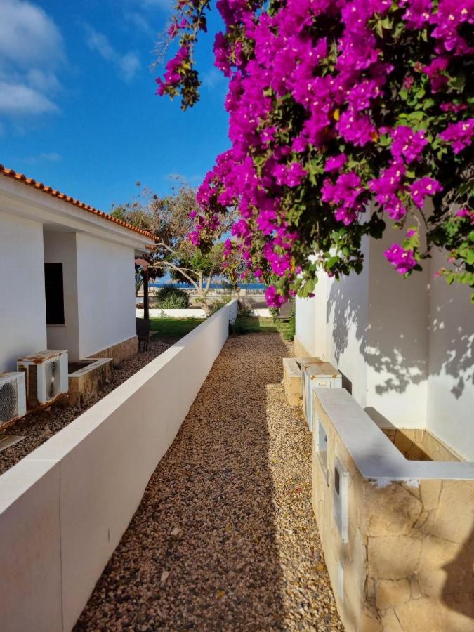 Villa With Privat Pool Near Beach Santa Maria Sal Kap Verde Exteriör bild